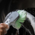 Chemical Guys Wheelie All Exterior Surfave And Wheel Brush